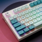 Iceberg 104+42 MDA Profile Keycap Set Cherry MX PBT Dye-subbed for Mechanical Gaming Keyboard